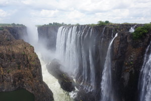 Viktoriiny zambie