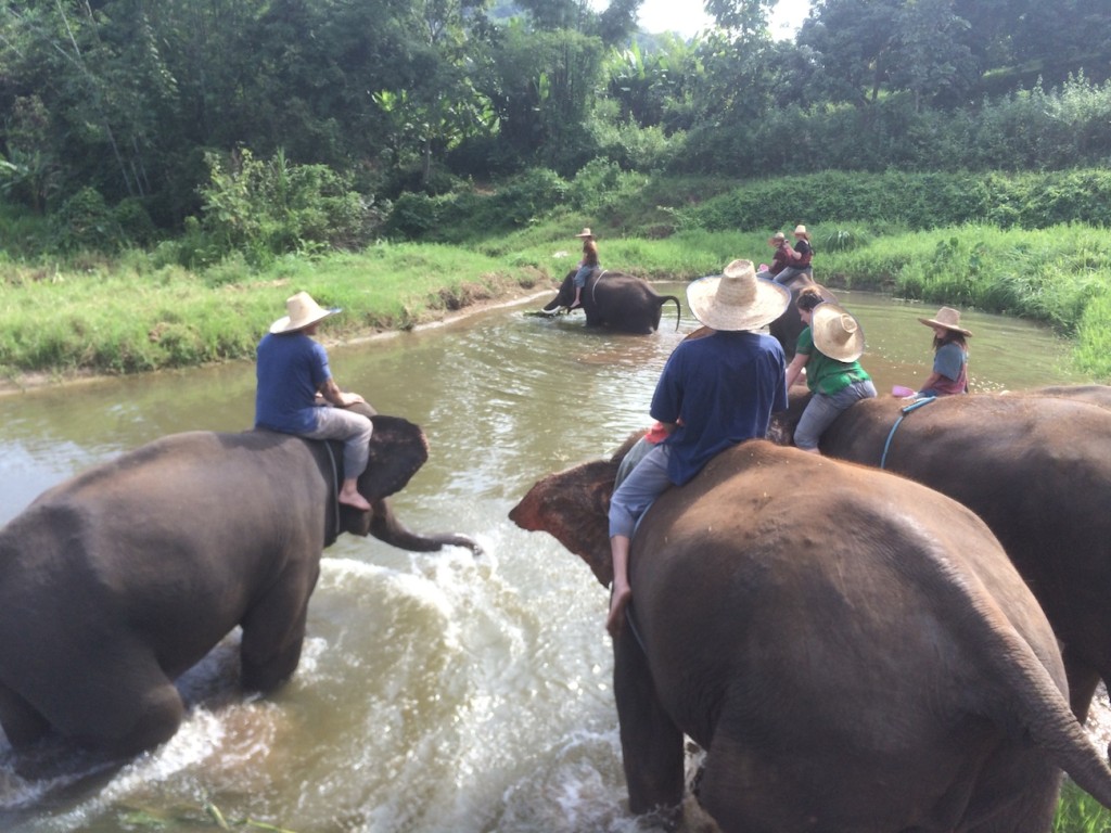 Thajsko riding bathing elephants