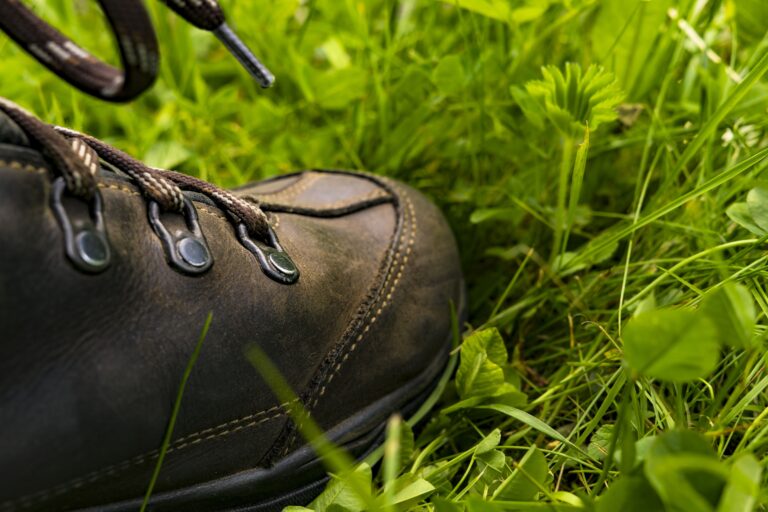 Autor: Felix Mittermeier. Zdroj: pexels.com.